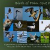 Palm Cove Fine Art Photos