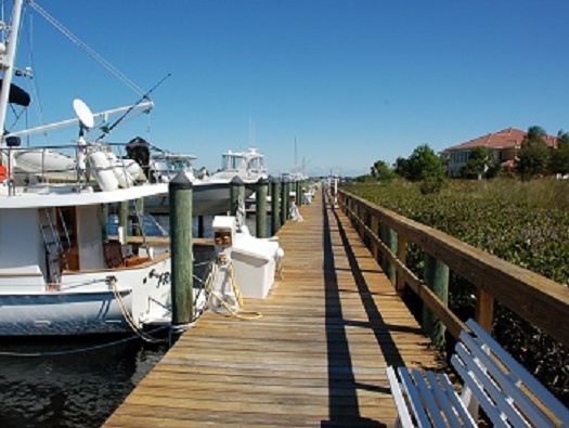 Marina Marina